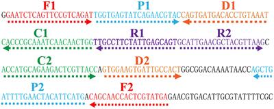 Multiple Cross Displacement Amplification Combined with Gold Nanoparticle-Based Lateral Flow Biosensor for Detection of Vibrio parahaemolyticus